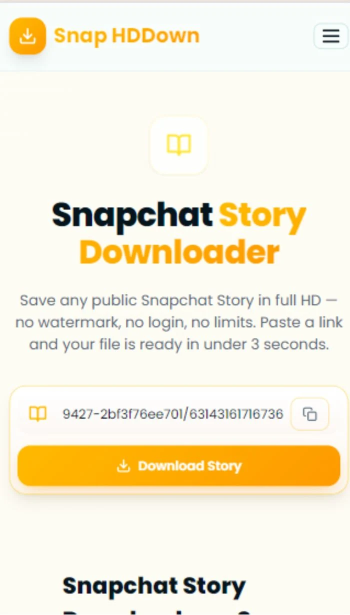 Paste the Snapchat Story link and tap Download Story
